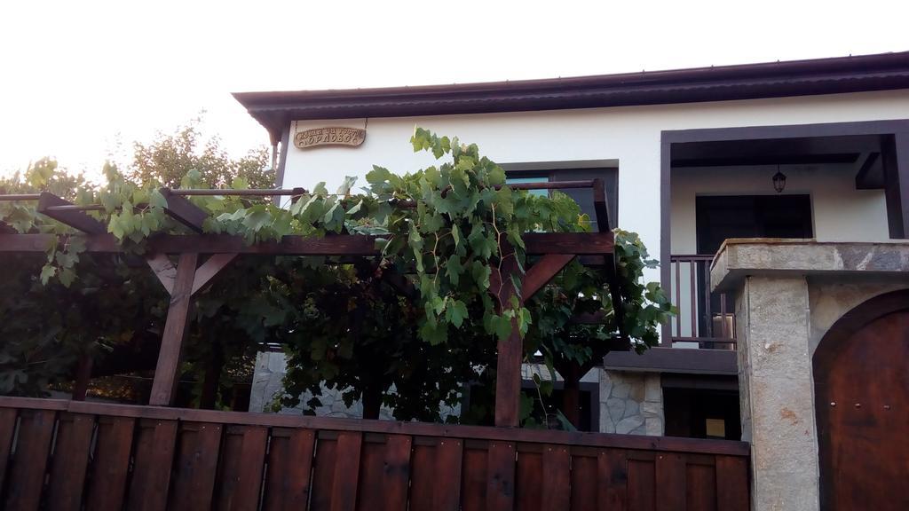 Guesthouse Orlovo Bagian luar foto